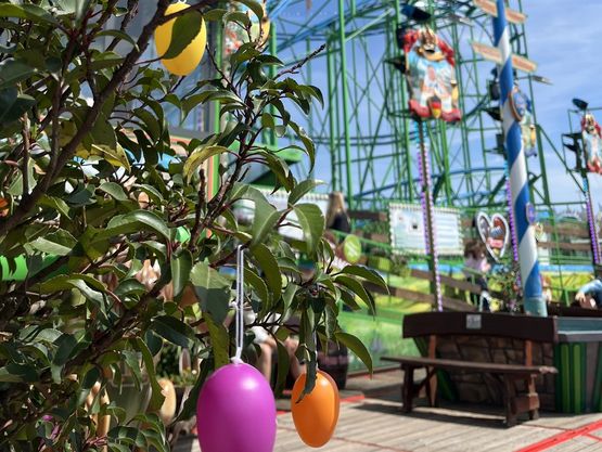 Im Vordergrund ist ein mit bunten Eiern geschmückter Strauch zu sehen, im Hintergrund ein Fahrgeschäft des Frühlingsfestes. Im Vordergrund ist ein mit bunten Eiern geschmückter Strauch zu sehen, im Hintergrund ein Fahrgeschäft des Frühlingsfestes.