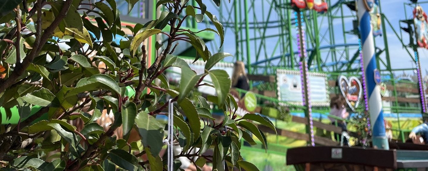 Mehr als eine viertel Million Menschen am Osterwochenende